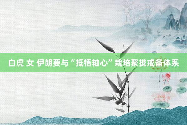 白虎 女 伊朗要与“抵牾轴心”栽培聚拢戒备体系