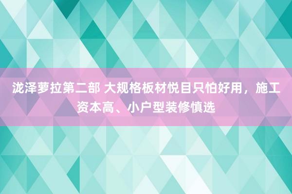 泷泽萝拉第二部 大规格板材悦目只怕好用，施工资本高、小户型装修慎选