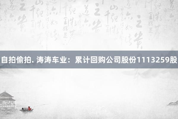 自拍偷拍. 涛涛车业：累计回购公司股份1113259股