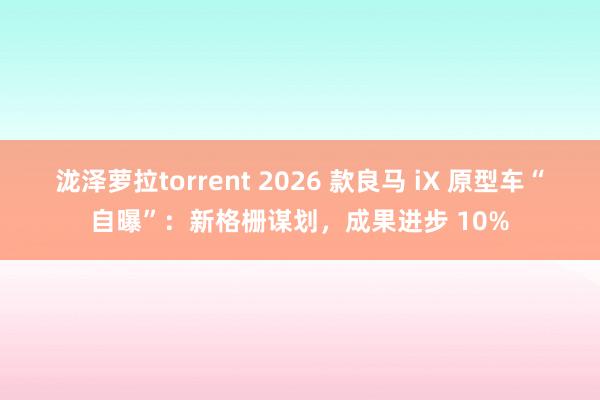 泷泽萝拉torrent 2026 款良马 iX 原型车“自曝”：新格栅谋划，成果进步 10%