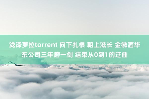 泷泽萝拉torrent 向下扎根 朝上滋长 金徽酒华东公司三年磨一剑 结束从0到1的迂曲