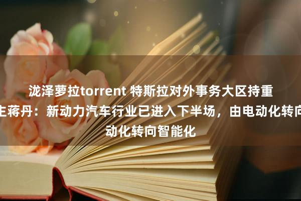 泷泽萝拉torrent 特斯拉对外事务大区持重东说念主蒋丹：新动力汽车行业已进入下半场，由电动化转向智能化