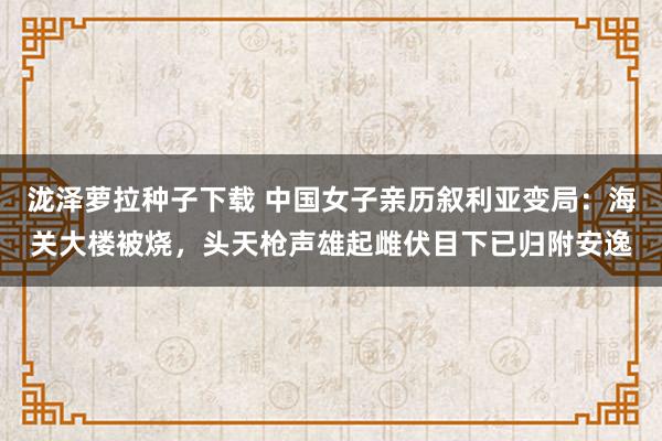 泷泽萝拉种子下载 中国女子亲历叙利亚变局：海关大楼被烧，头天枪声雄起雌伏目下已归附安逸