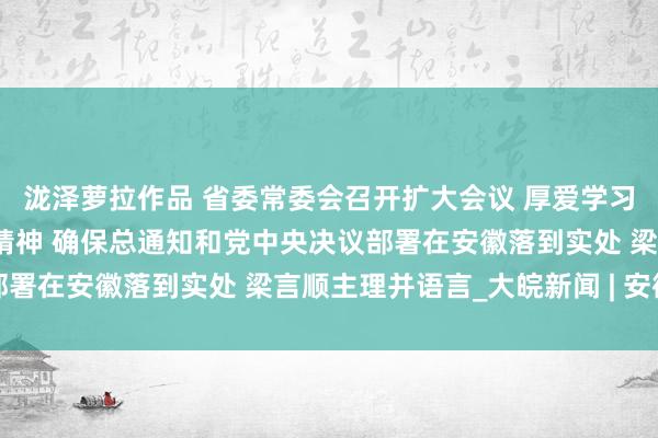 泷泽萝拉作品 省委常委会召开扩大会议 厚爱学习贯彻中央经济责任会议精神 确保总通知和党中央决议部署在安徽落到实处 梁言顺主理并语言_大皖新闻 | 安徽网