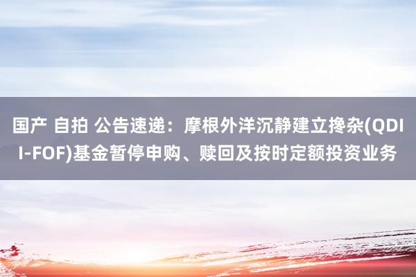国产 自拍 公告速递：摩根外洋沉静建立搀杂(QDII-FOF)基金暂停申购、赎回及按时定额投资业务