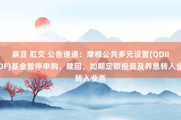 麻豆 肛交 公告速递：摩根公共多元设置(QDII-FOF)基金暂停申购、赎回、如期定额投资及养息转入业务