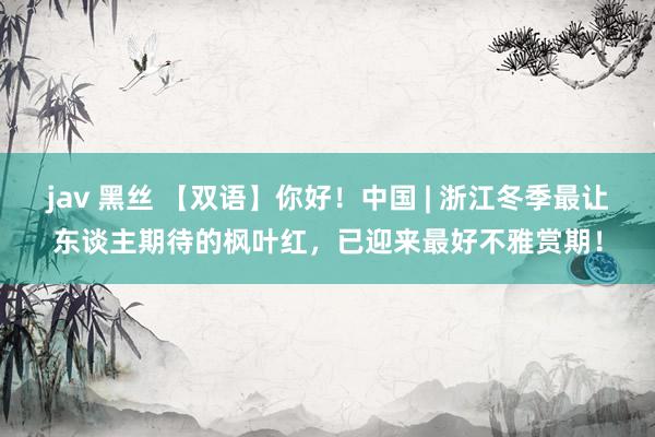 jav 黑丝 【双语】你好！中国 | 浙江冬季最让东谈主期待的枫叶红，已迎来最好不雅赏期！