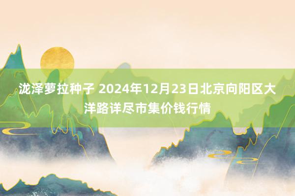 泷泽萝拉种子 2024年12月23日北京向阳区大洋路详尽市集价钱行情
