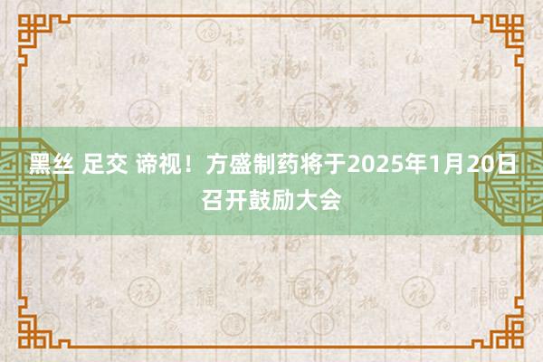 黑丝 足交 谛视！方盛制药将于2025年1月20日召开鼓励大会