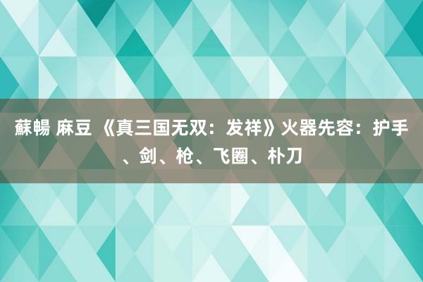 蘇暢 麻豆 《真三国无双：发祥》火器先容：护手、剑、枪、飞圈、朴刀