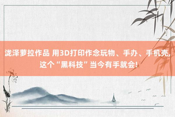 泷泽萝拉作品 用3D打印作念玩物、手办、手机壳， 这个“黑科技”当今有手就会!