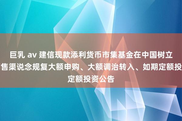 巨乳 av 建信现款添利货币市集基金在中国树立银行销售渠说念规复大额申购、大额调治转入、如期定额投资公告