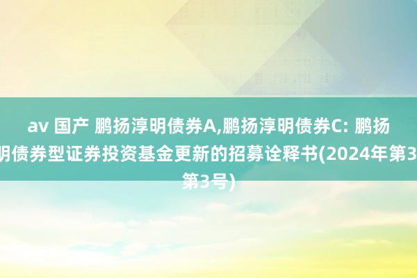 av 国产 鹏扬淳明债券A,鹏扬淳明债券C: 鹏扬淳明债券型证券投资基金更新的招募诠释书(2024年第3号)