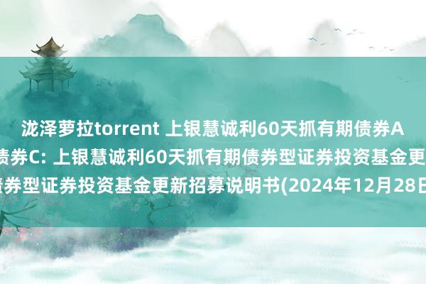 泷泽萝拉torrent 上银慧诚利60天抓有期债券A，上银慧诚利60天抓有期债券C: 上银慧诚利60天抓有期债券型证券投资基金更新招募说明书(2024年12月28日公告)