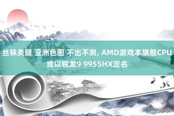 丝袜美腿 亚洲色图 不出不测， AMD游戏本旗舰CPU或以锐龙9 9955HX定名