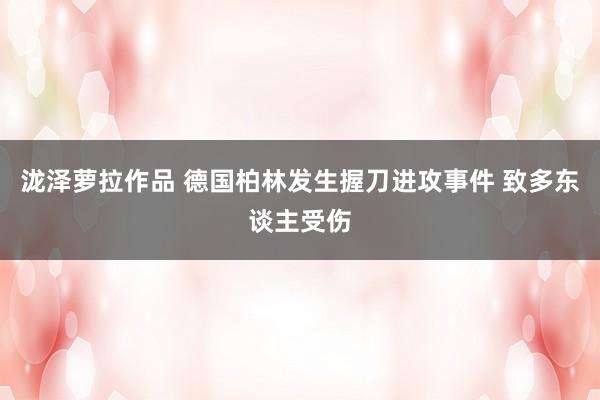 泷泽萝拉作品 德国柏林发生握刀进攻事件 致多东谈主受伤