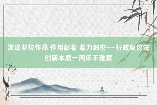 泷泽萝拉作品 作用彰着 着力细密——行政复议法创新本质一周年不雅察