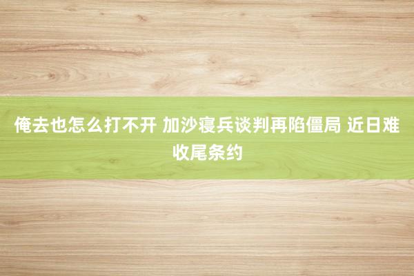 俺去也怎么打不开 加沙寝兵谈判再陷僵局 近日难收尾条约