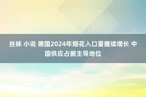 丝袜 小说 德国2024年烟花入口量握续增长 中国供应占据主导地位