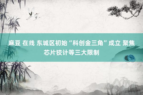 麻豆 在线 东城区初始“科创金三角”成立 聚焦芯片狡计等三大限制