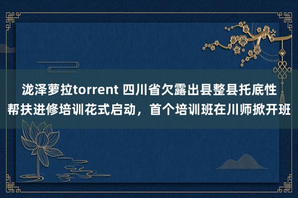 泷泽萝拉torrent 四川省欠露出县整县托底性帮扶进修培训花式启动，首个培训班在川师掀开班