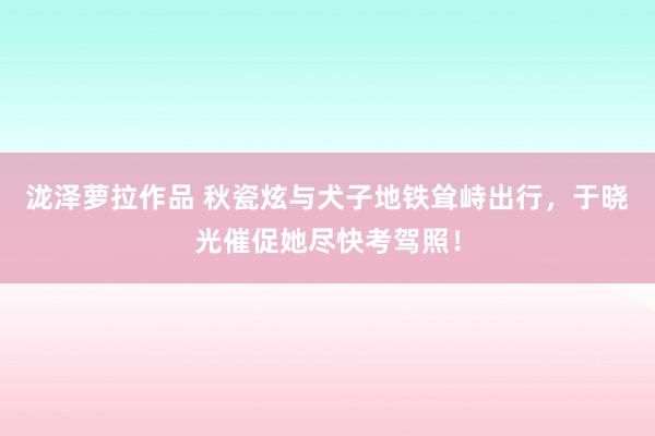 泷泽萝拉作品 秋瓷炫与犬子地铁耸峙出行，于晓光催促她尽快考驾照！