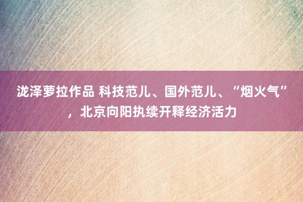 泷泽萝拉作品 科技范儿、国外范儿、“烟火气”，北京向阳执续开释经济活力