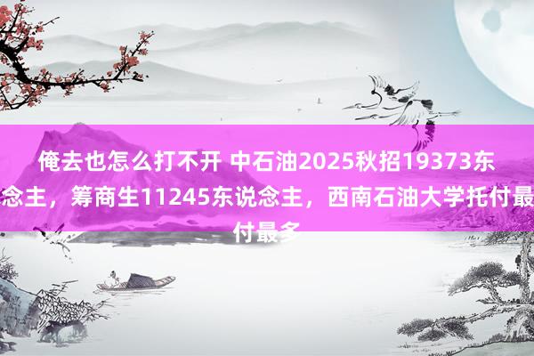 俺去也怎么打不开 中石油2025秋招19373东说念主，筹商生11245东说念主，西南石油大学托付最多