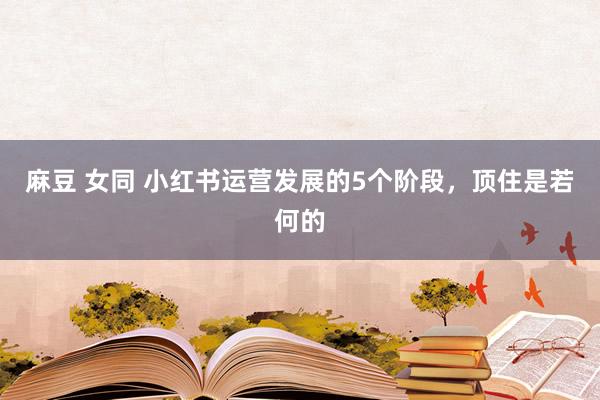 麻豆 女同 小红书运营发展的5个阶段，顶住是若何的