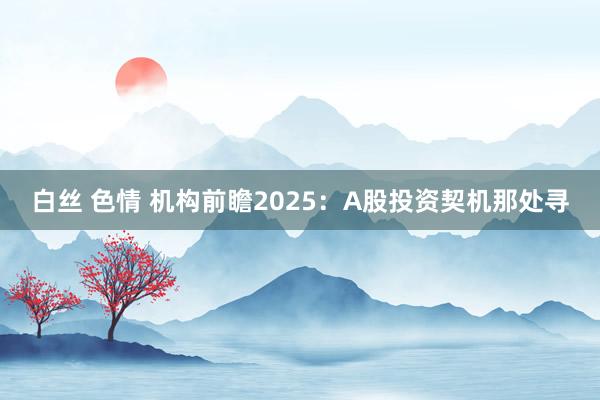 白丝 色情 机构前瞻2025：A股投资契机那处寻
