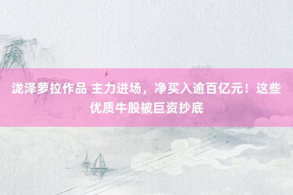 泷泽萝拉作品 主力进场，净买入逾百亿元！这些优质牛股被巨资抄底