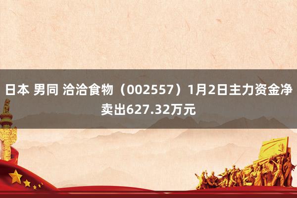 日本 男同 洽洽食物（002557）1月2日主力资金净卖出627.32万元