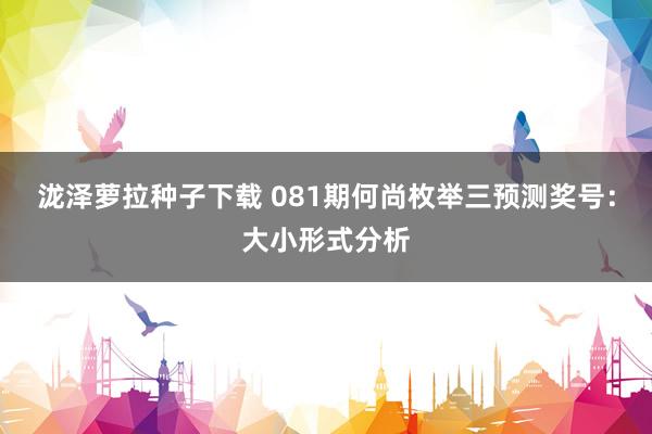 泷泽萝拉种子下载 081期何尚枚举三预测奖号：大小形式分析