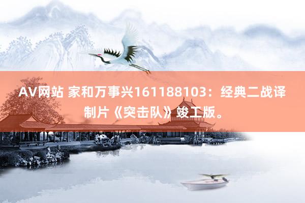 AV网站 家和万事兴161188103：经典二战译制片《突击队》竣工版。